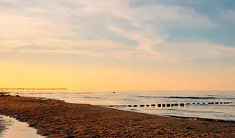 Foto de Mar de las Pampas