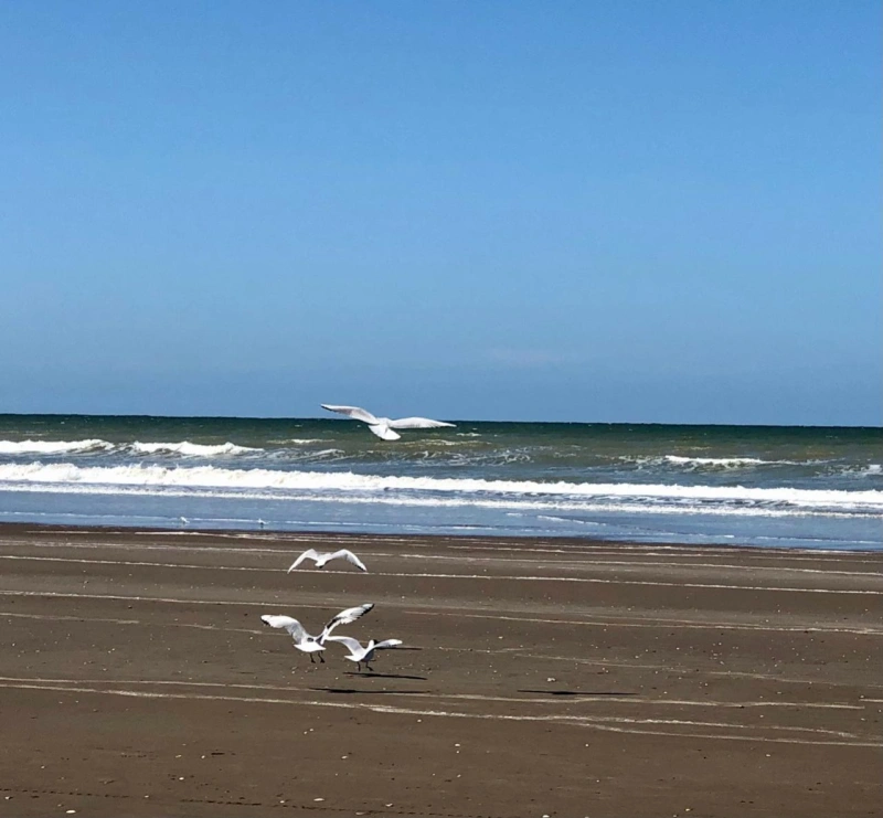 Complejo: 4 Ambientes - Entrada de Auto - Gran Confort - A 1½ cuadra del mar - a 1 cuadra del centro - Dúplex/Tríplex en Aguas Verdes