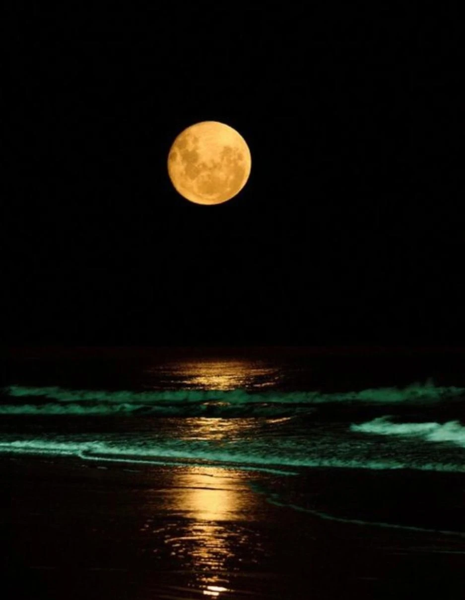 Complejo: 4 Ambientes - Entrada de Auto - Gran Confort - A 1½ cuadra del mar - a 1 cuadra del centro - Dúplex/Tríplex en Aguas Verdes