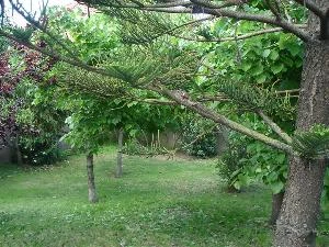 4 Ambientes Muy Amplios - Garage Cerrado para 2 Autos - Barrio San Rafael - A 3 cuadras del mar - a 4 cuadras de Av. Libertador - Casa/Chalet en Mar de Ajó