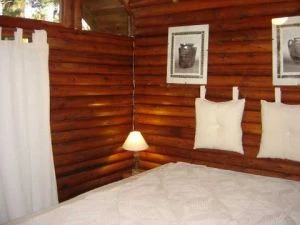 2 Ambientes dentro del Hermoso Bosque - A 2 cuadras del mar - Casa/Chalet en La Lucila del Mar