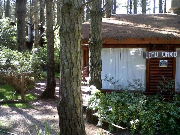 Hermosa Cabaña - A 200 metros del Mar - dentro del hermoso bosque - Casa/Chalet en La Lucila del Mar