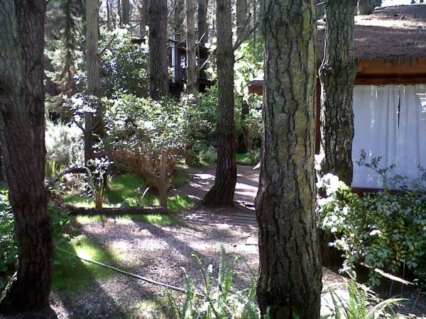 Hermosa Cabaña - A 200 metros del Mar - dentro del hermoso bosque - Casa/Chalet en La Lucila del Mar