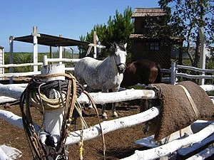 CABAÑAS PACHAMIA -  - Cabaña en La Lucila del Mar