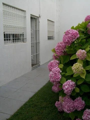 4 Ambientes en Planta Baja - A 2 cuadras del mar - a 2 cuadras del muelle - Casa/Chalet en La Lucila del Mar
