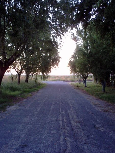 Monoambiente Dividido - Contacto con la Naturaleza - Zona muy tranquila - Cabaña en San Bernardo