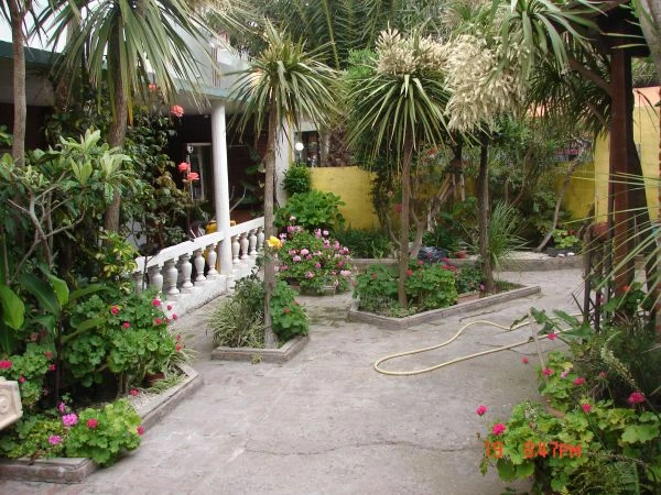 4 Ambientes en Planta Baja - Muy Luminoso - A 2 cuadras del mar - a 1 cuadra del casino - a 1 cuadra de la peatonal - Departamento en Mar de Ajó
