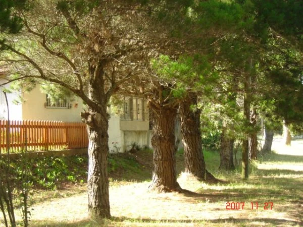 4 Ambientes - Muy Equipado - Garage Cerrado - Quincho Cerrando - Parque Rodeado de Pinos -  - Casa/Chalet en Aguas Verdes