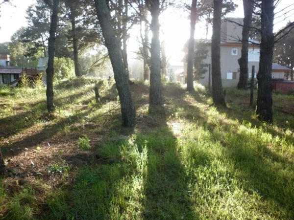 3 Ambientes - Area Parquizada con Pinos - A 6 cuadras del mar - Casa/Chalet en Costa del Este