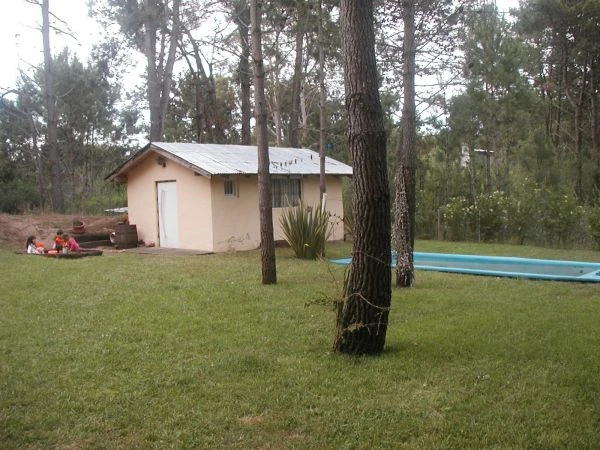 3 Ambientes - con pileta en pleno bosque Cariló - 5 cuadras del mar 10 cuadras del Centro Comercial - Casa/Chalet en Cariló