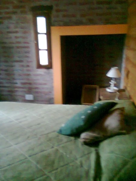 3 ambientes - 3 cuadras de la playa y 1 del centro - Cabaña en Costa del Este