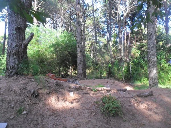 3 ambientes - 3 cuadras de la playa y 1 del centro - Cabaña en Costa del Este