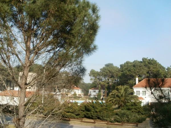 Totalmente amueblado - a 4 cuadras del centro y de la playa - Departamento en Costa del Este