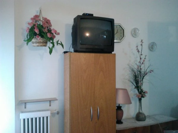 Dpto de 1 1/2  ambiente - dividido con cocina separada - Departamento en Mar del Plata