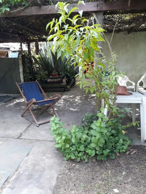 3 Ambientes con Estacionamiento - Atendido por sus Dueños - Gran Parque - A pasos de San Rafael - Mucha Tranquilidad - Casa/Chalet en Mar de Ajó