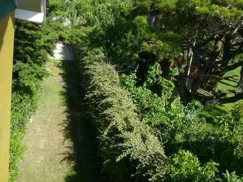 Ideal para familias - A 1 cuadra del mar - Casa/Chalet en Cariló