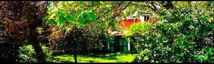 Duplex El Sendero - Ubicado en un lugar tranquilo y con hermoso espacio verde - Dúplex/Tríplex en Mar de Ajó