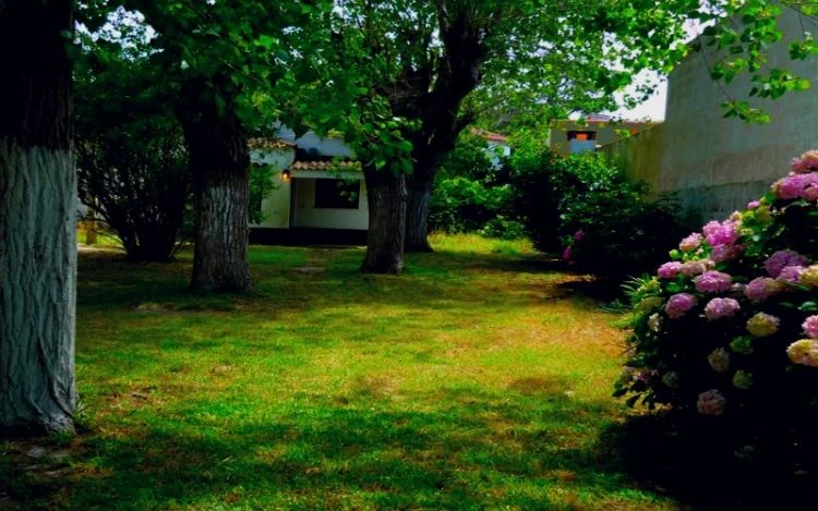 Chalet -  Hermoso monoambiente -  ideal para pareja - Jardín y Estacionamiento - A 3 cuadras del mar - jardín con parrilla uso exclusivo - Casa/Chalet en Mar de Ajó