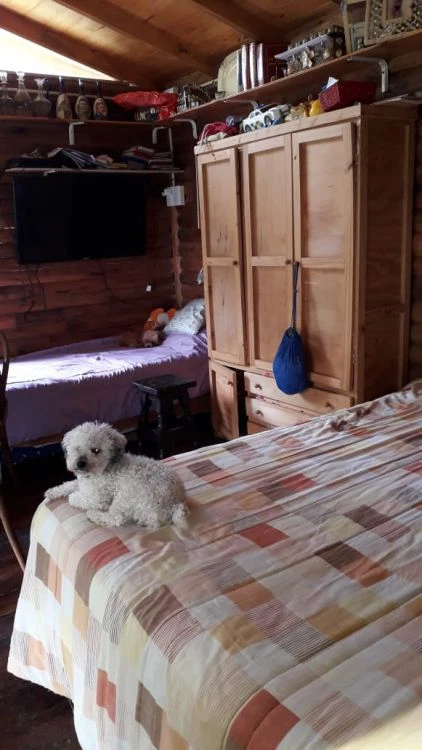 DEPARTAMENTO TIPO DÚPLEX - Ideal para 2 o 3 personas - Departamento en Costa del Este