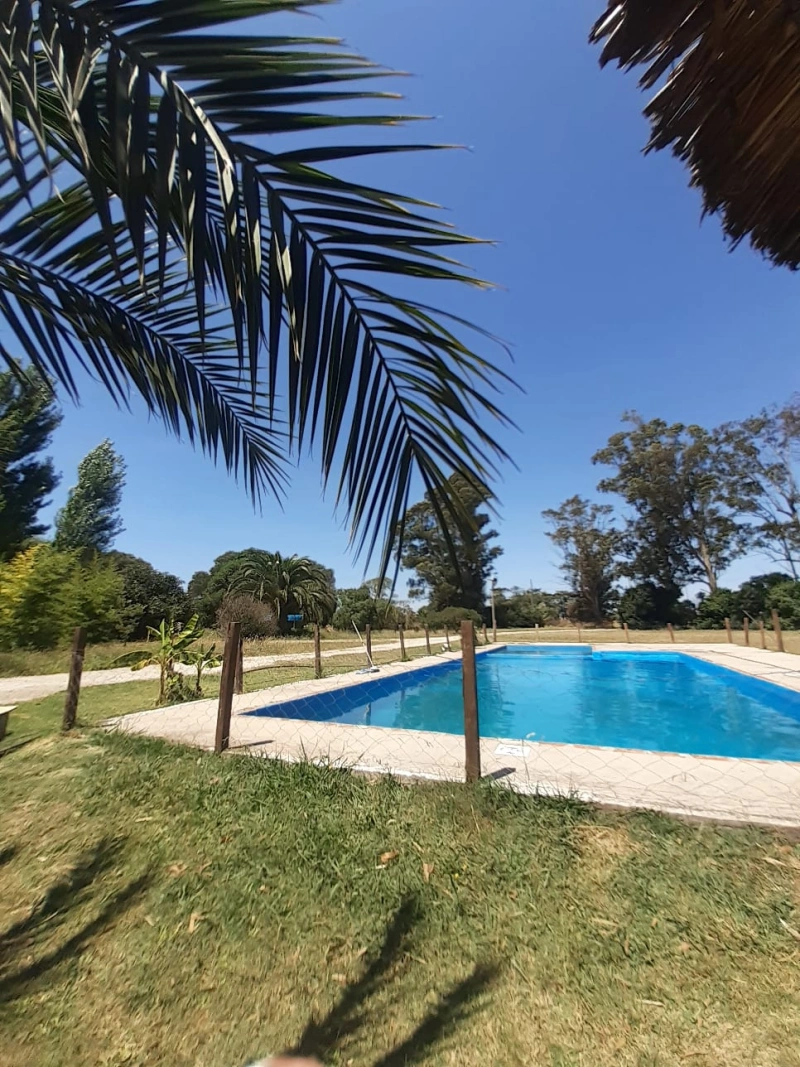 Complejo Los Aromos - Se destaca por su paz y tranquilidad - Cabaña en Mar del Plata