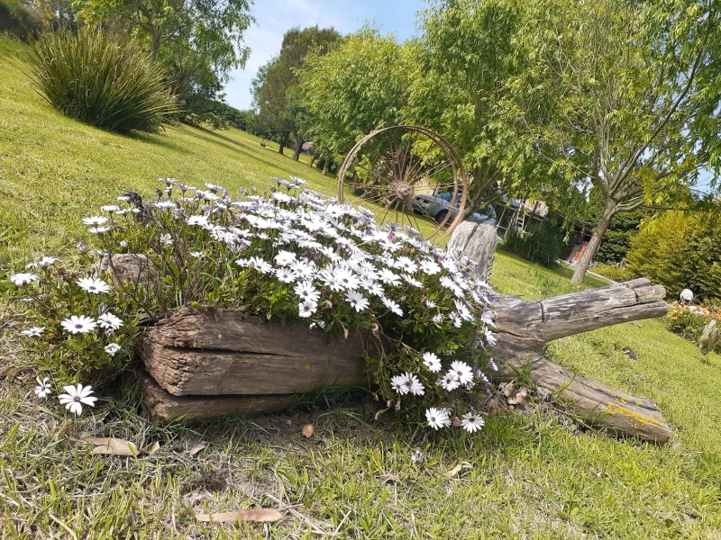 Complejo Los Aromos - Se destaca por su paz y tranquilidad - Cabaña en Mar del Plata