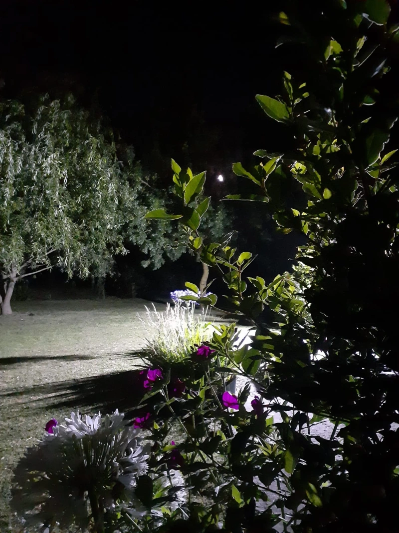 Complejo Los Aromos - Se destaca por su paz y tranquilidad - Cabaña en Mar del Plata