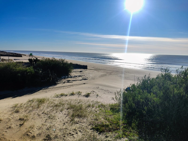 Departamento a 2 cuadras del mar en Complejo DELLA - A 2 cuadras del mar 🌊 12 de la peatonal nueva y a 2 de la peatonal vieja. - Departamento en Villa Gesell